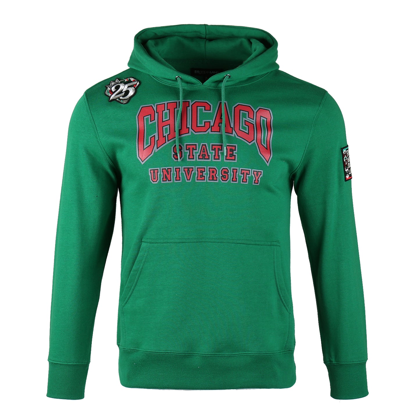 AACA Chicago Hoodie | Green | Ultra-Soft Fleece Pullover, Slim Fit