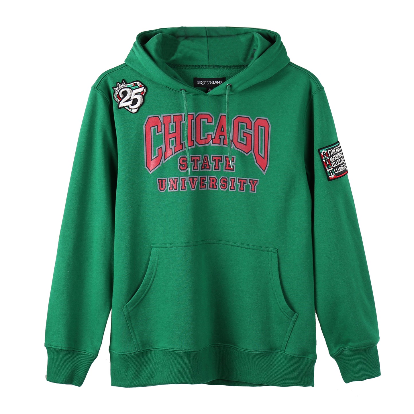 AACA Chicago Hoodie | Green | Ultra-Soft Fleece Pullover, Slim Fit