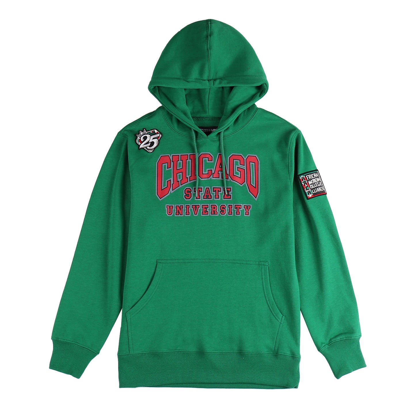 AACA Chicago Hoodie | Green | Ultra-Soft Fleece Pullover, Slim Fit