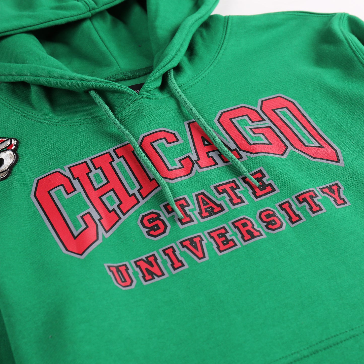 AACA Chicago Hoodie | Green | Ultra-Soft Fleece Pullover, Slim Fit