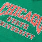 FTP Chicago State University Classic 91 Hoodie Kelly Green Classic Hoodie alternate product image