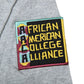 Howard University Originals' AACA Classic T-Shirt MDH. Grey / Navy Classic Tee alternate product image