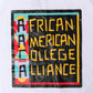 AACA Classic 91 T-Shirt White Classic Tee detail image