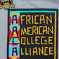 30th Anniversary FTP AACA Hoodie MDH.Grey Classic Hoodie detail image