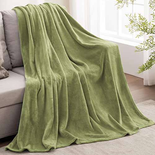 BEDELITE Fleece Blanket Twin Size Sage Green Throw Blanket for Couch & Bed, Luxury Plush Cozy Fuzzy Blanket 60x80 inches, Super Soft Warm Spring Throw Blanket for Travel Camping