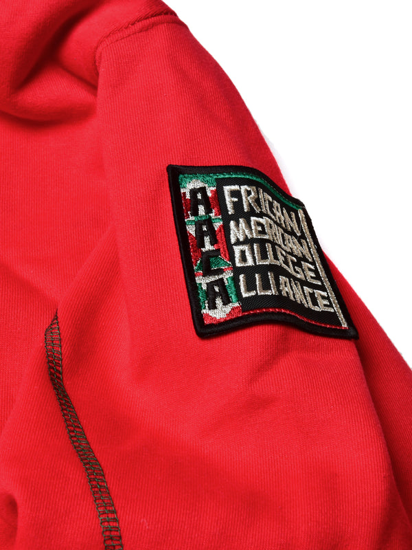 FTP Tuskegee University 92 Frankenstein Stitched Hoodie Red / Kelly Green