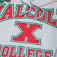 30th Anniversary FTP Malcolm X Frankenstein Stitched Hoodie MDH.Grey / Red Malcolm X College Frankenstein Hoodie detail image
