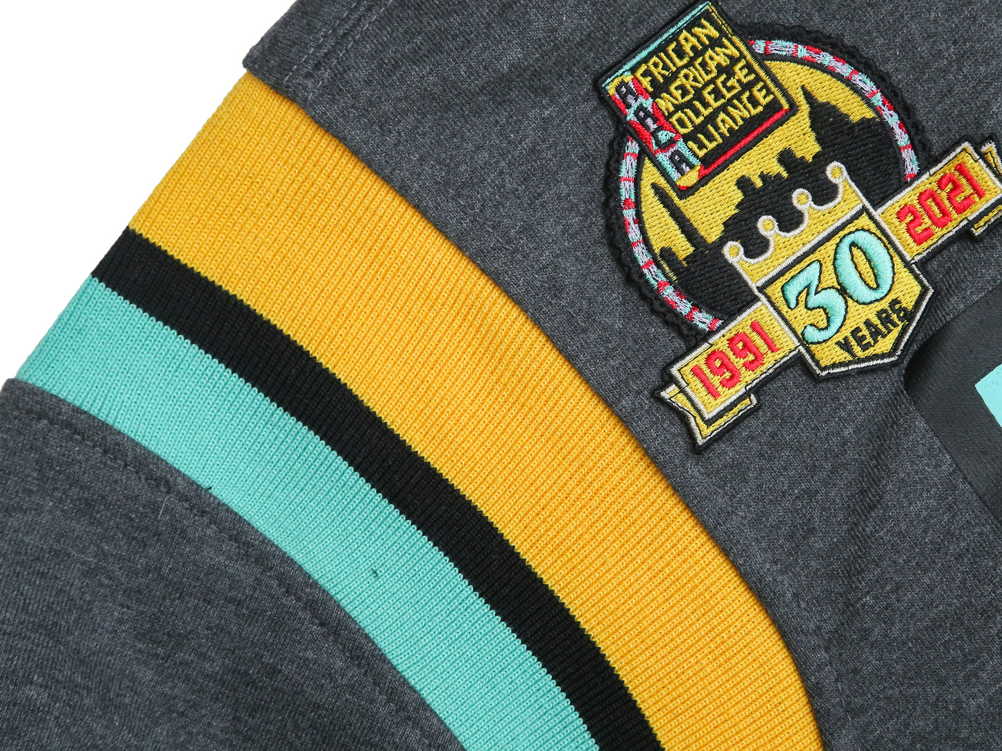 30th Anniversary AACA Frankenstein Stitched Hoodie Charcoal/Black - African American College Alliance