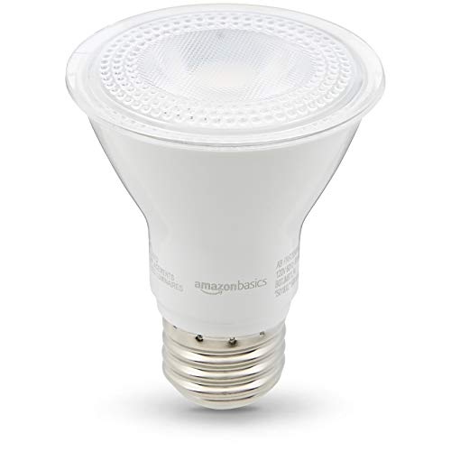 50W Equivalent, Daylight, Dimmable, 10,000 Hour Lifetime, PAR20 LED Light Bulb | 6-Pack